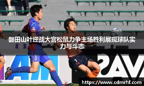 DB旗舰官网