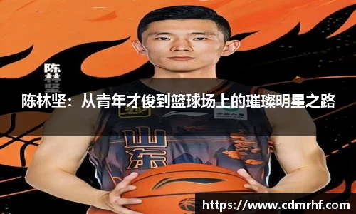 DB旗舰官网